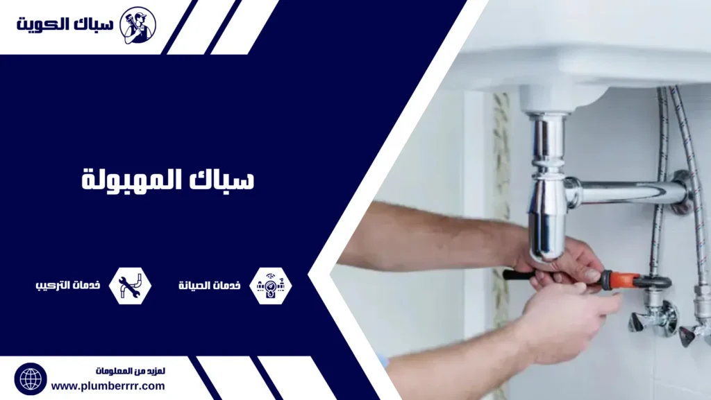 سباك المهبولة